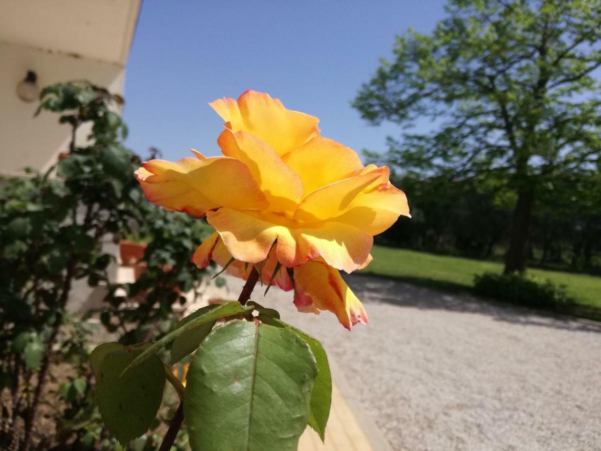 B&B Villa Napoli Батипалия Екстериор снимка